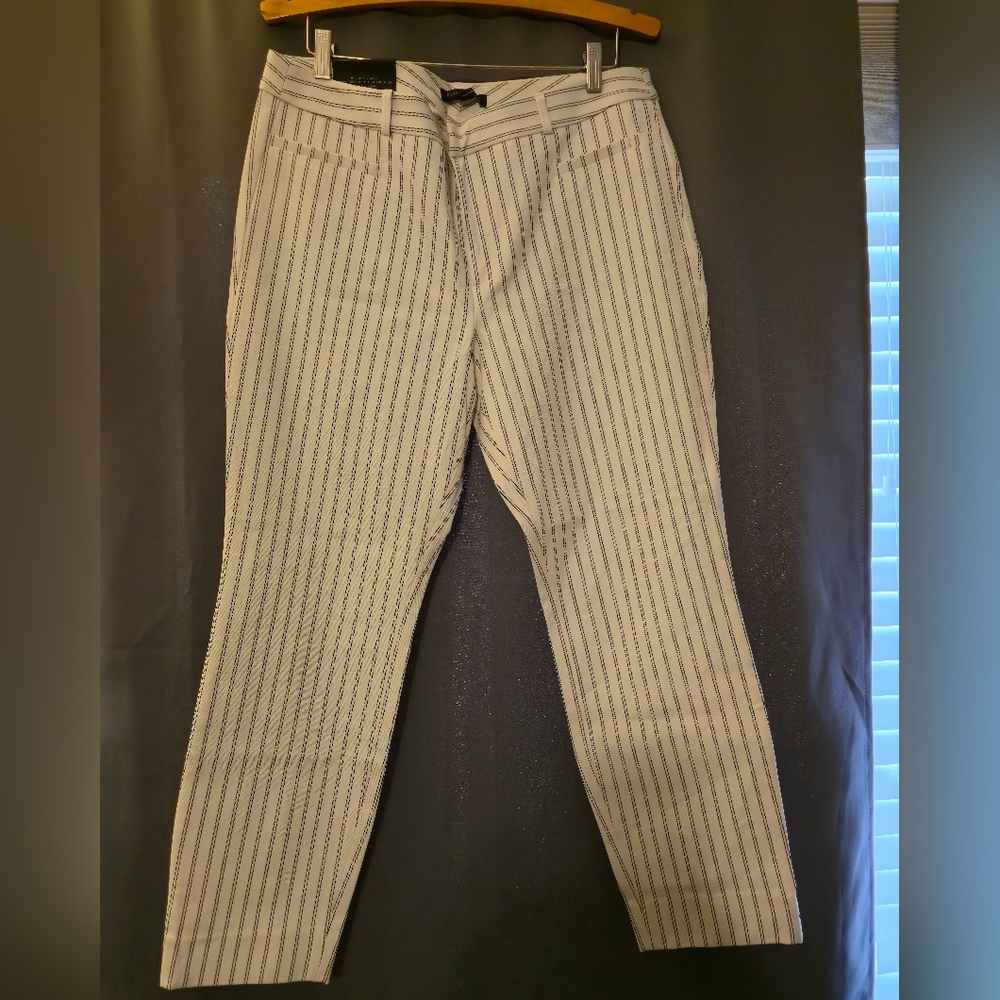 Banana Republic Women's Modern Sloan Striped Dress Pants - Black and White